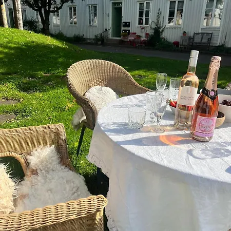 Lägenhet Sjarmerende, Sentrumsnaer